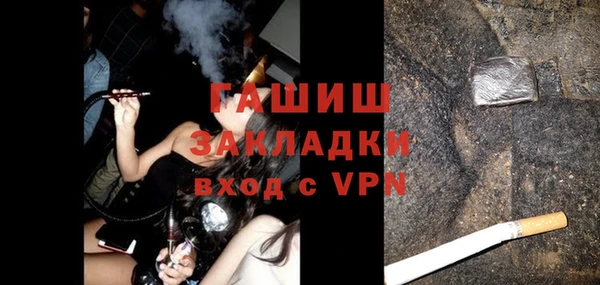 индика Инта
